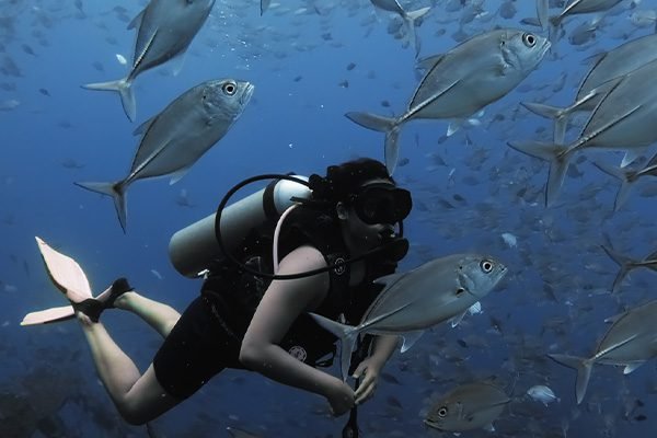 S S Orestes Ship Wreck Unawatuna